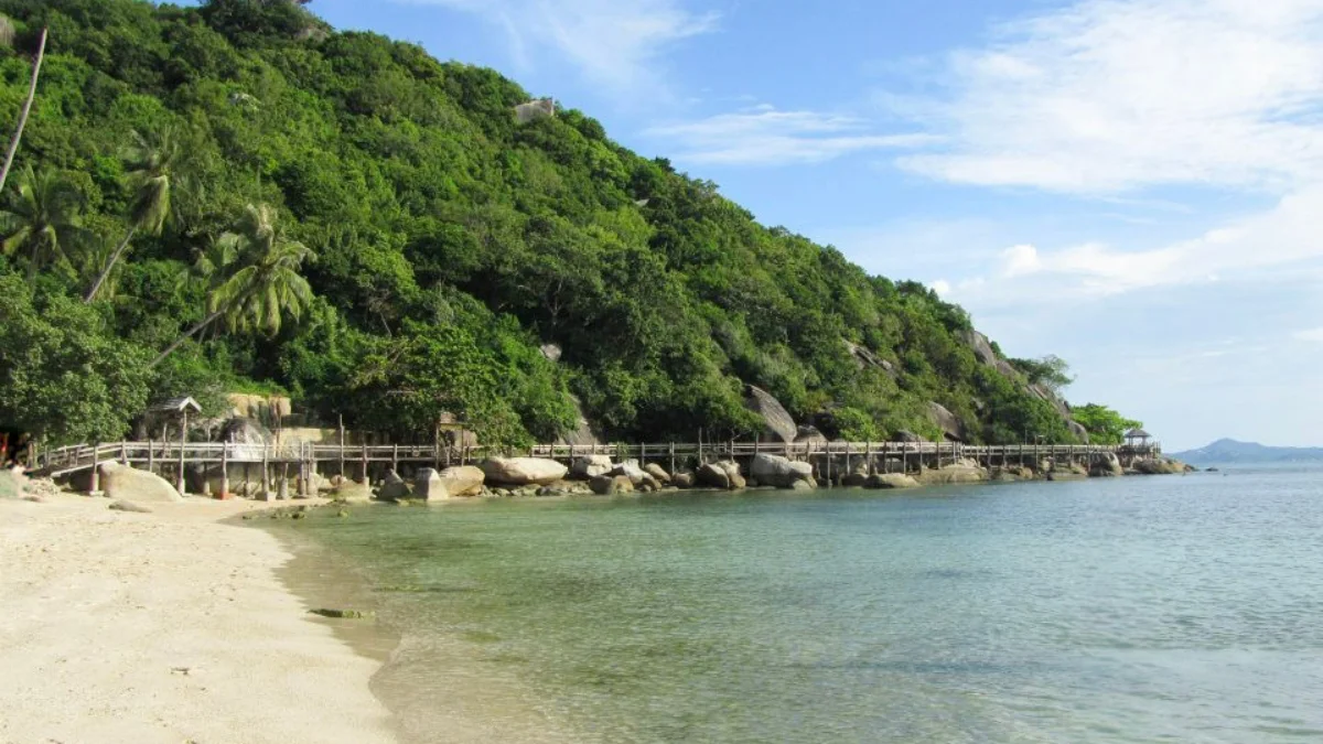 גשר עץ על סלעים לאורך קו החוף בקופנגן, תאילנד - מסלול הליכה בחוף לילה